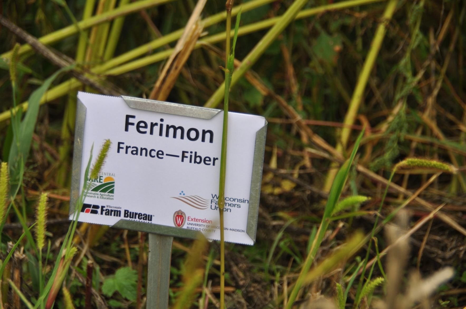 Hemp-plot sign in field